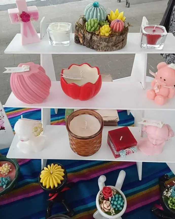 Terrarios en exposición