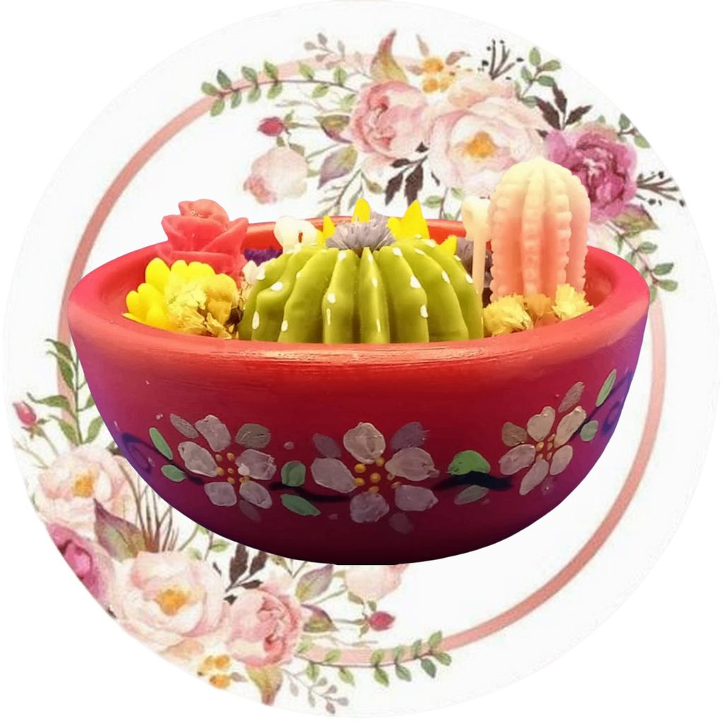 Contenedor con cactus y suculentas #2
