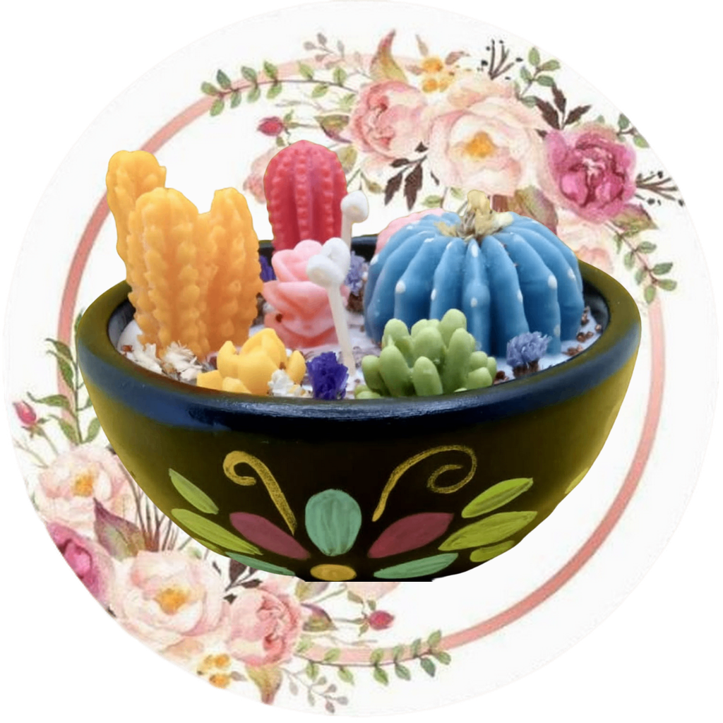 Contenedor con cactus y suculentas #3