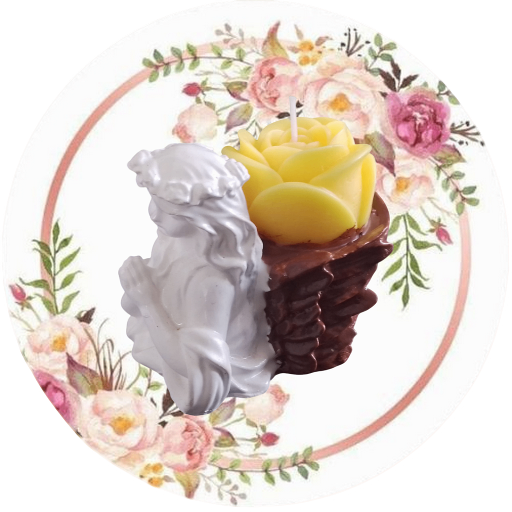 Ángel cesta (flor, suculenta, cactus)