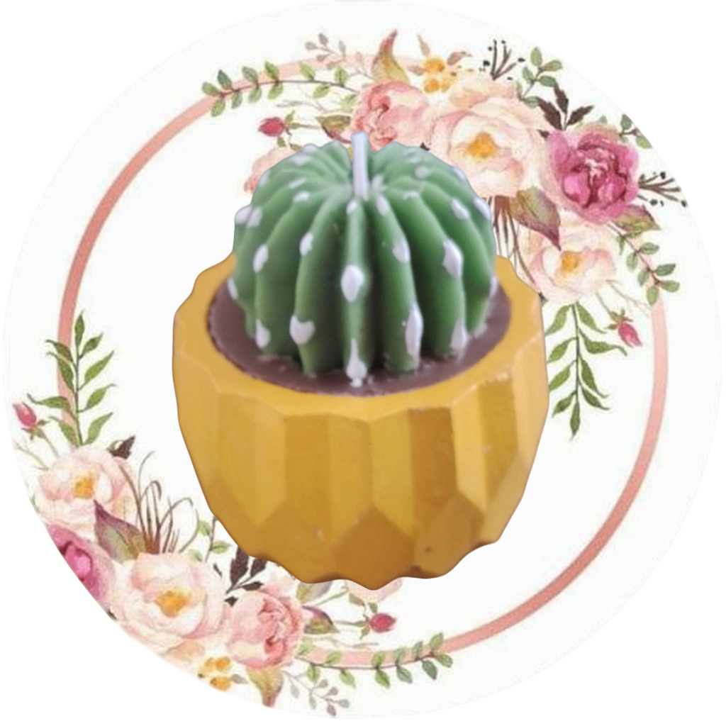 Contenedor facetado (cactus, suculenta, flor) 