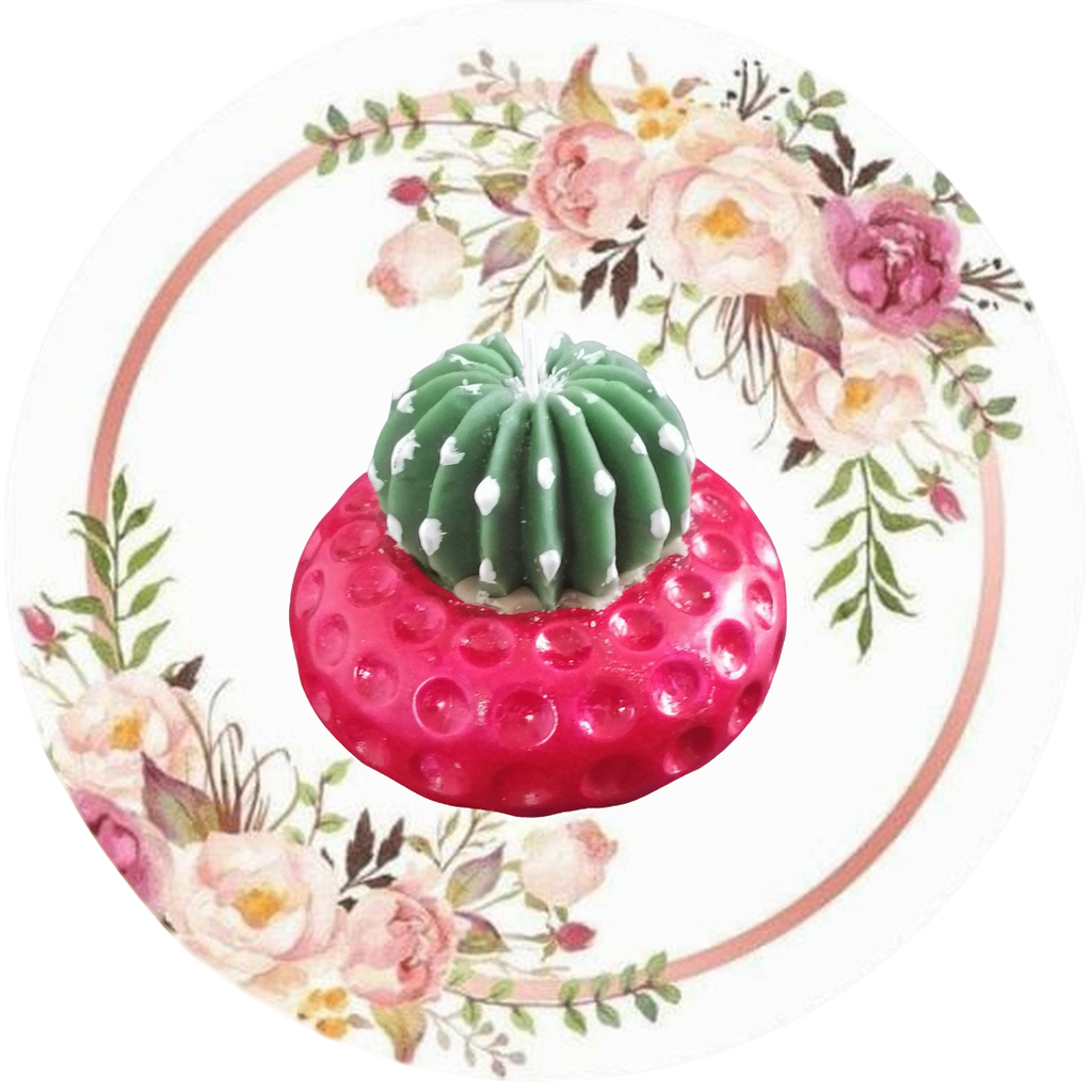 Contenedor bolitas (cactus, suculenta, flor)