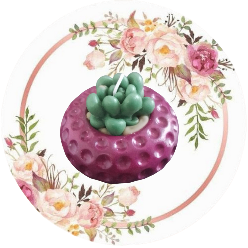 Contenedor bolitas (suculenta)