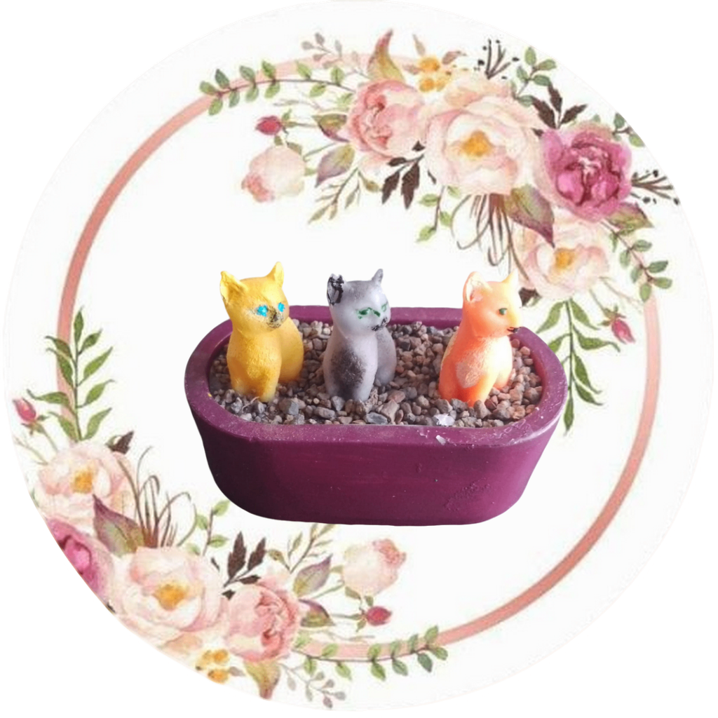 Arenero gatitos (chico)