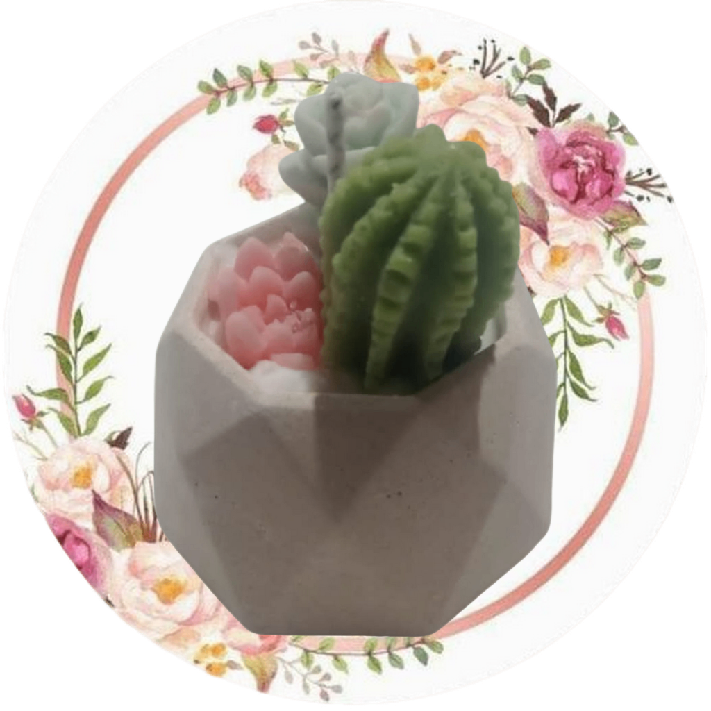 Contenedor diamante chico (flor, cactus, suculenta)