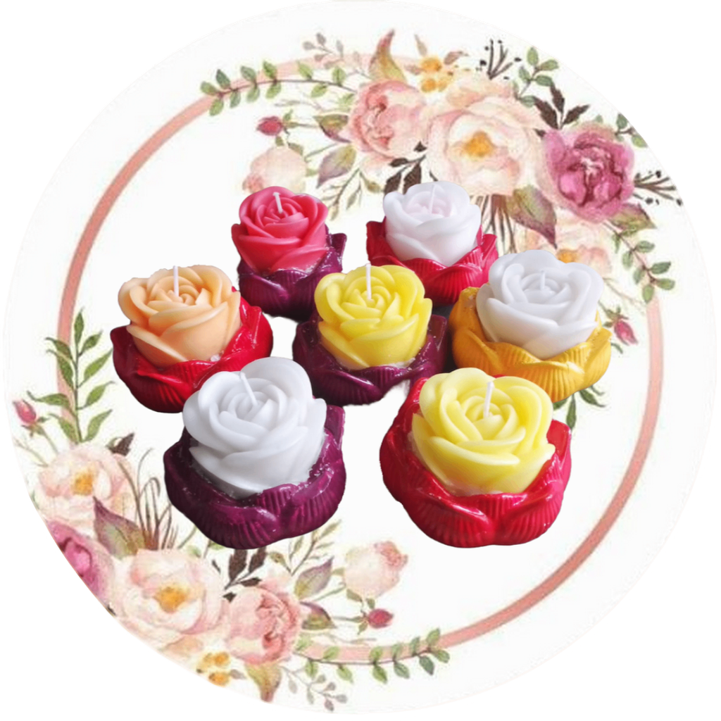 Flor de loto (flor, suculenta, cactus)