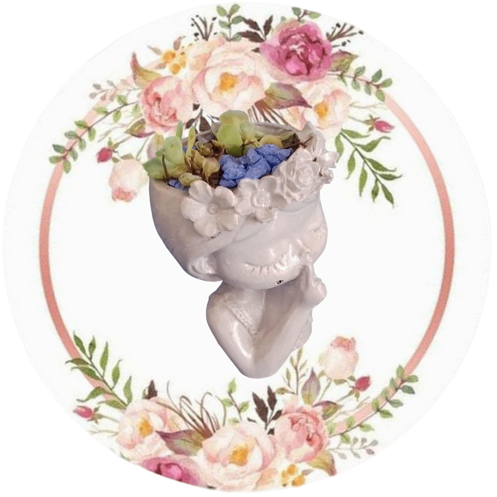 Dama #2 (Suculenta natural)