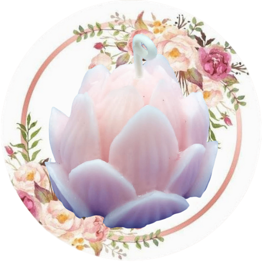 Flor de loto
