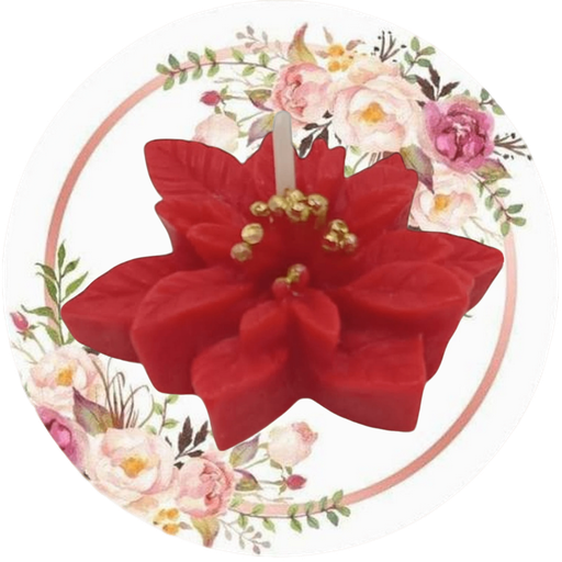 Flor de nochebuena chica