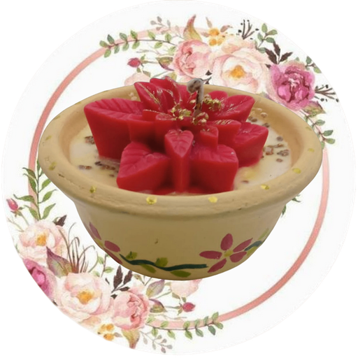 Contenedor flor de nochebuena chica