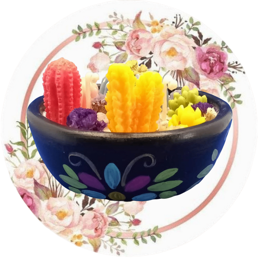 Contenedor con cactus y suculentas #1