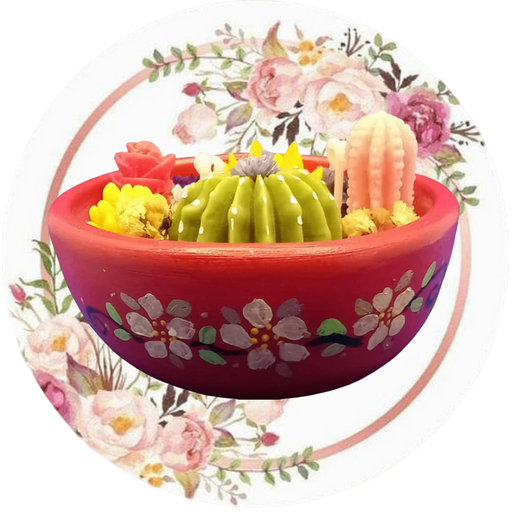 Contenedor con cactus y suculentas #2