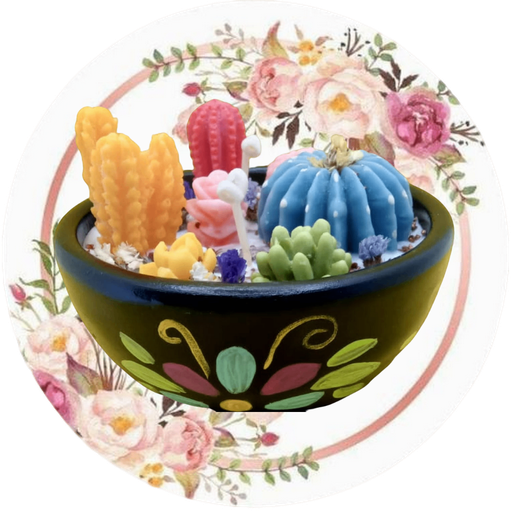 Contenedor con cactus y suculentas #3