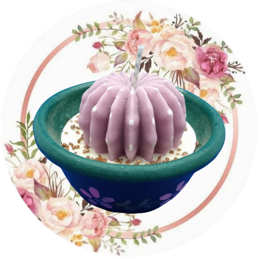 Contenedor de cactus chica