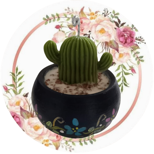 Contenedor mediano con cactus