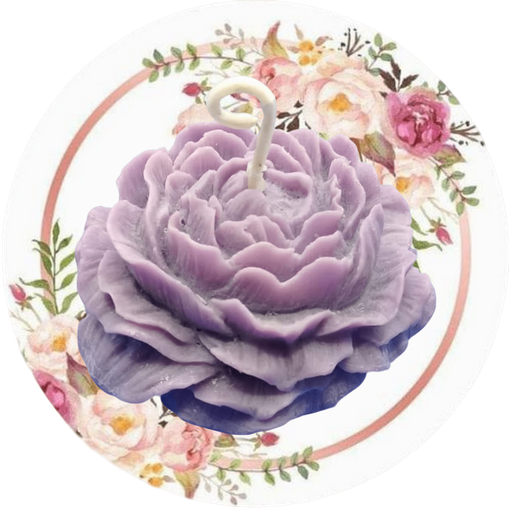 Peonia
