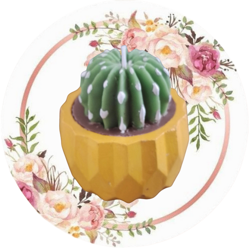 Contenedor facetado (cactus, suculenta, flor) 