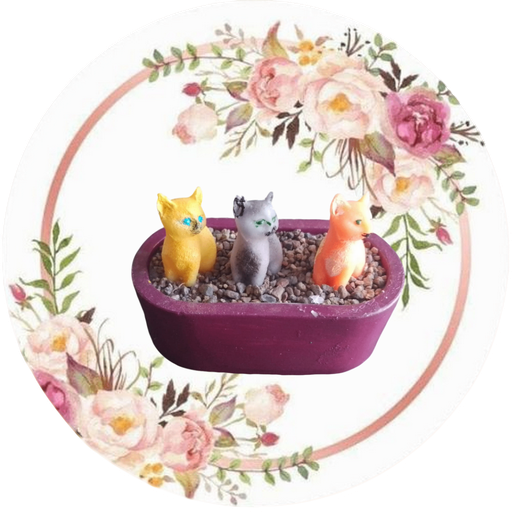 Arenero gatitos (chico)