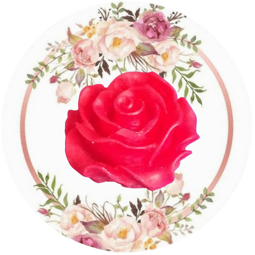Rosa mini