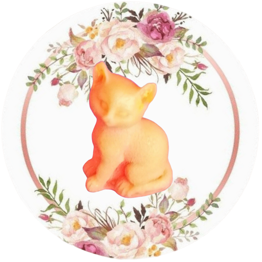 Gatito mini