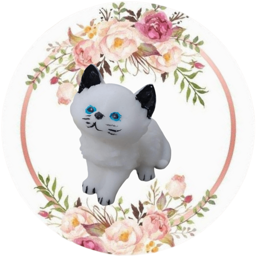 Gato Mediano