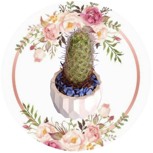 Contenedor redondo facetado (Cactus natural)